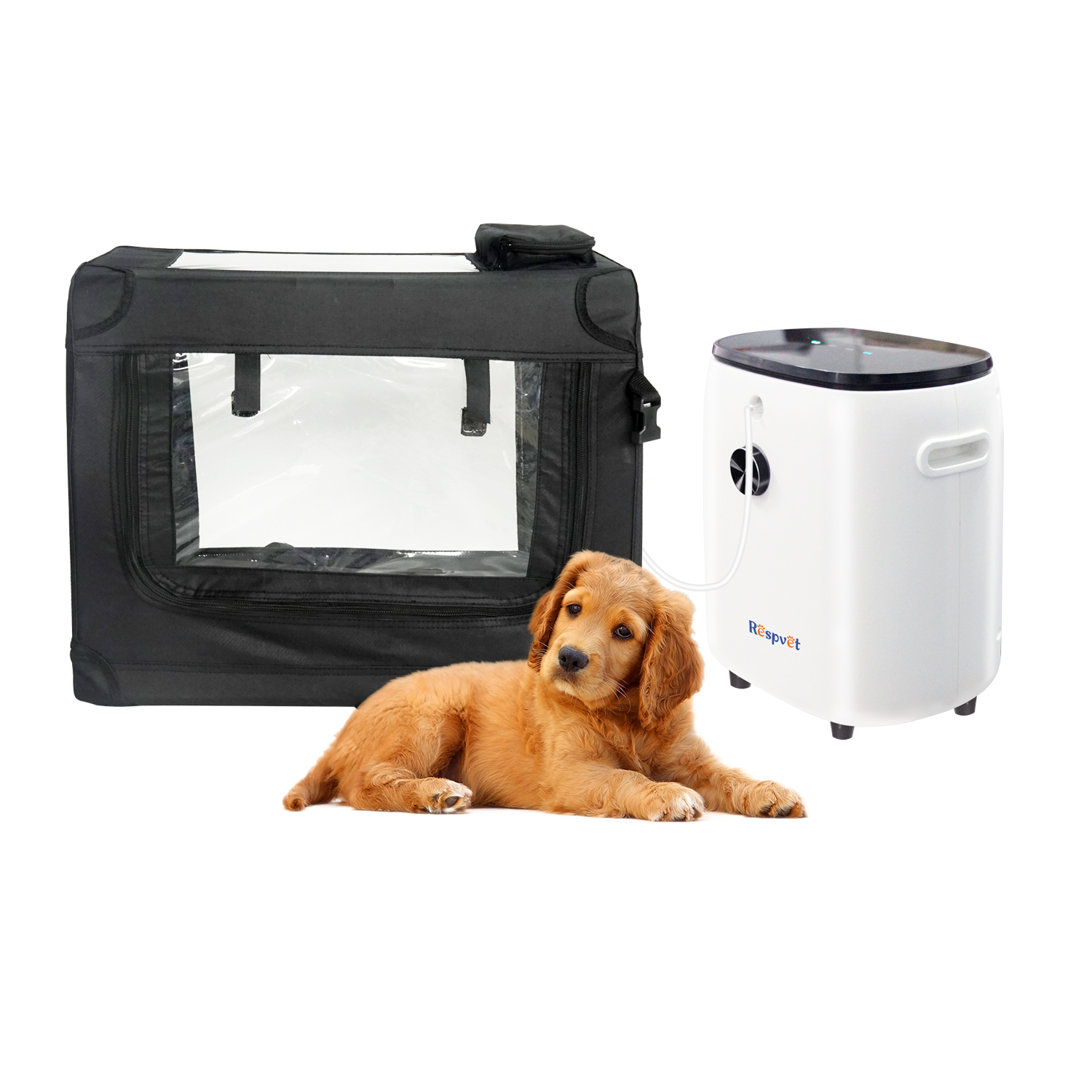 Medical Lab Assistant - Best Assistant Medical Grade Veterinary Concentrator
