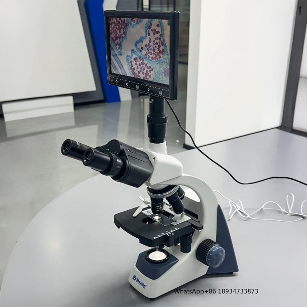 MSD105-T-09 Biological Microsc - Medical Lab Images recension och pris