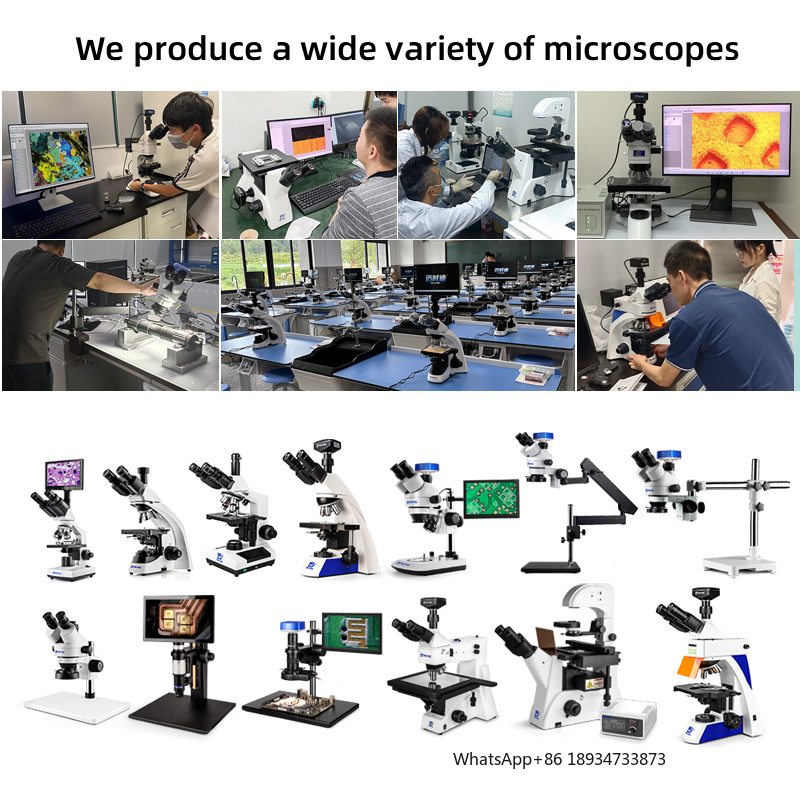 MSD105-T-09 Biological Microsc - Medical Lab Images recension och pris