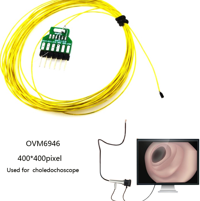 Smallest  OVM 6946  Medical wh - Medical Lab Images recension och pris