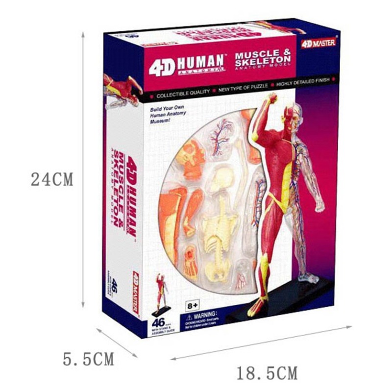 Anatomy 4d Human Muscle Skelet - Medical Lab Assistant recension och pris