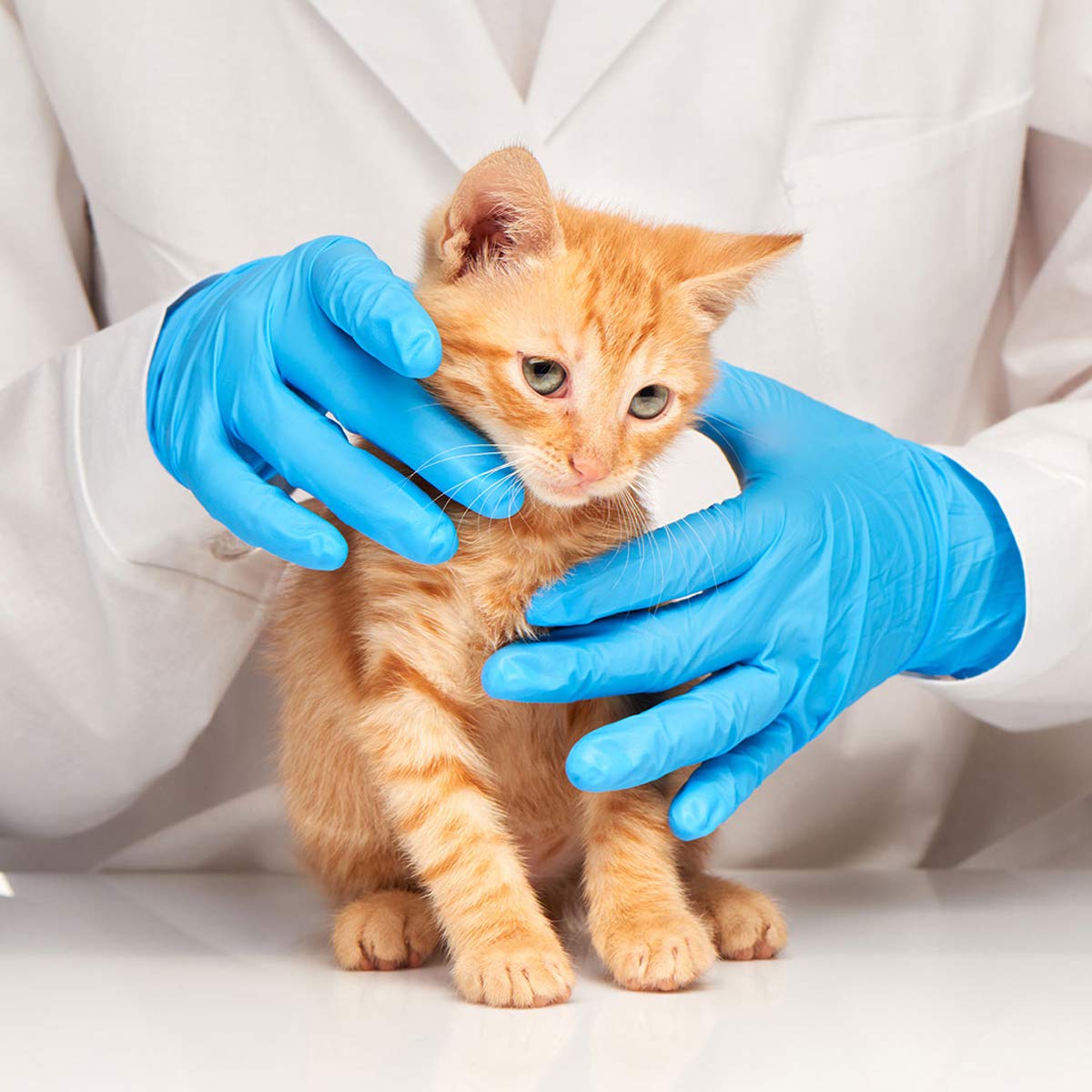 Blue Nitrile Exam Gloves Latex - Medical Lab Images recension och pris